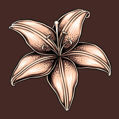 lily flower illustration with classic colors for decoration