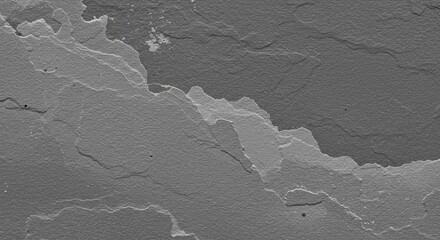 A grayscale image displaying intricate textures and layered patterns, suggestive of a geological formation or a weathered surface.