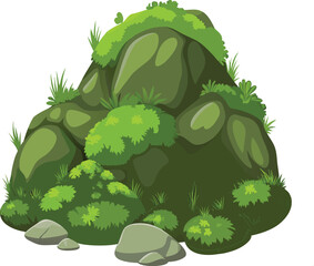 Moss on stone in marsh rock on a white background.