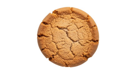 Isolated single ginger snap cookie, food photography of a delicious baked biscuit snack