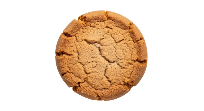 Isolated single ginger snap cookie, food photography of a delicious baked biscuit snack