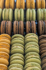 Assortment of Colorful Macarons Displayed in Rows