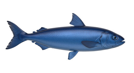 Isolated bluefin tuna fish swims horizontally left; a great seafood illustration