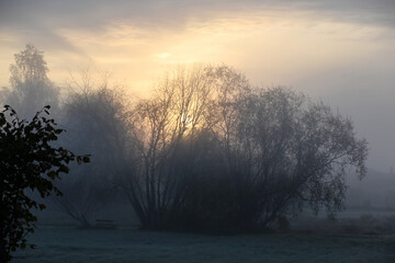 early autumn morning, fog hides the outlines of trees and bushes, blurred background