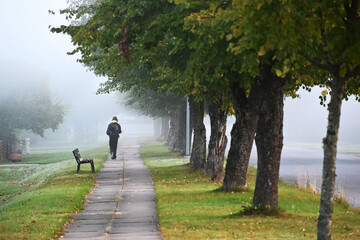 early autumn morning, fog hides the outlines of trees and bushes, blurred background