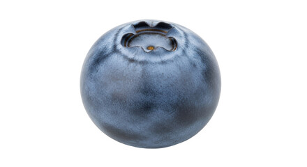 Isolated close-up of a single ripe and juicy blueberry ready to eat, healthy fruit snack