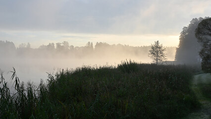 early autumn morning, fog hides the outlines of trees and bushes, blurred background,