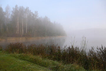 early autumn morning by the lake, fog hides the outlines of trees and bushes, blurred background