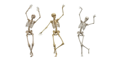 Isolated skeletons celebrate Halloween season with dancing human bones against simple backdrop