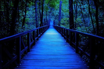 Serene Blue Wooden Pathway Through Lush Forest Landscape