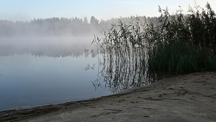 early autumn morning by the lake, fog hides the outlines of trees and bushes, blurred background