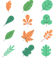 Green leaf and autumn Leaf