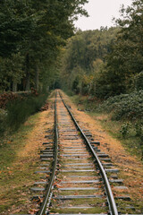 Obraz premium Abandoned narrow gauge railway track leading into a forest during autumn. Conceptual travel and journey background with natural green and orange tones.