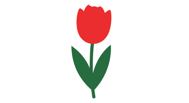 Simple Red Tulip Flower Illustration.