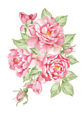 bouquet of pink roses