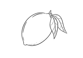 lemon digital illustration drawing isolated