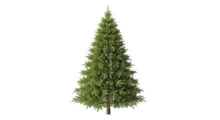 Isolated evergreen Christmas tree with faux-needles, festive winter season conifer indoors