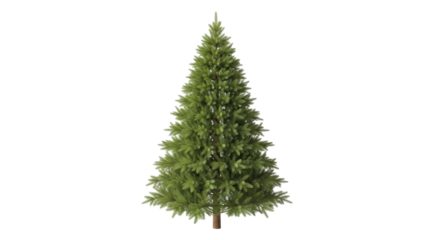 Isolated evergreen Christmas tree with faux-needles, festive winter season conifer indoors