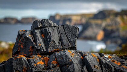 Close-up of rugged dark rocks with orange lichen against a blurred coastal background.