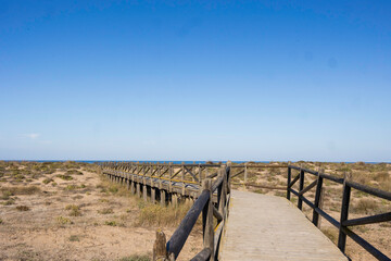 Camino de madera hacia el mar,