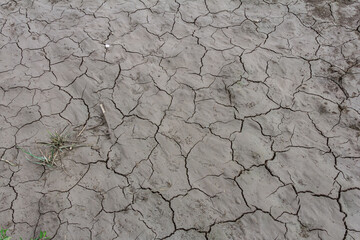 Dry and cracked earth with sparse vegetation indicating drought conditions in an arid landscape during the daytime
