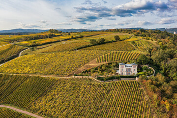 Aerial photographs of vineyards in the Rheingau region with their autumnal colors