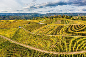 Aerial photographs of vineyards in the Rheingau region with their autumnal colors