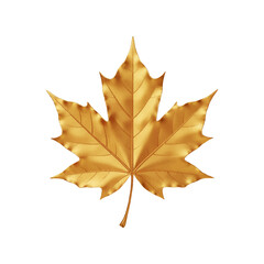 Autumn leaf isolated on white background. Vector illstration