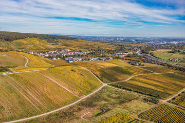 Aerial photographs of vineyards in the Rheingau region with their autumnal colors