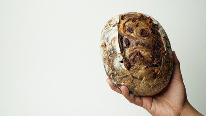 Hands holding a whole walnut cranberry sourdough bread with white background.