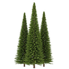 Obraz premium Group of evergreen trees isolated on transparent background