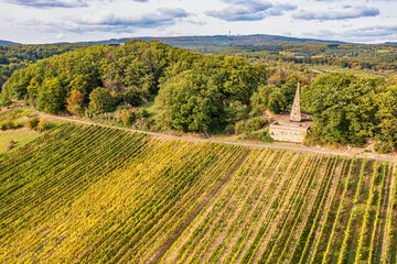Aerial photographs of vineyards in the Rheingau region with their autumnal colors