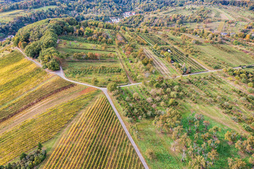 Aerial photographs of vineyards in the Rheingau region with their autumnal colors