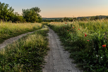 Serene countryside path winding through vibrant wildflowers during sunset capturing nature's beauty and tranquility in the evening light