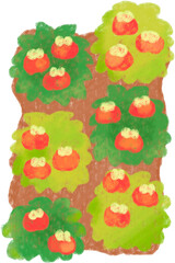 시콜 농사 일러스트