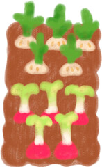 시콜 농사 일러스트