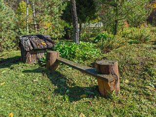 Rustic Wooden Bench in a Forest