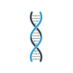 A stylized illustration of a DNA double helix structure against a white background.