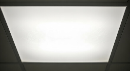 Illuminated Ceiling Light Fixture in Office Setting.
