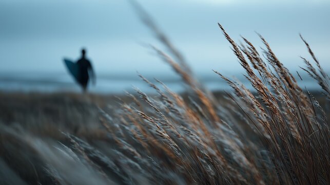 A surfer walks along the beach through tall, windswept grasses at dusk, evoking a serene, coastal atmosphere.