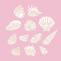 Seashell collection. Stylish vector hand-drawn shells isolated on the pink background. Beach print design.