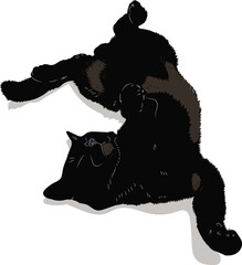 A happy cat sleeps. Favorite pets.