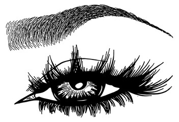 Illustration with woman's eye, eyelashes and eyebrow. Makeup Look. Tattoo design. Logo for brow bar or lash salon.