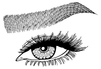 Obraz premium Illustration with woman's eye, eyelashes and eyebrow. Makeup Look. Tattoo design. Logo for brow bar or lash salon.