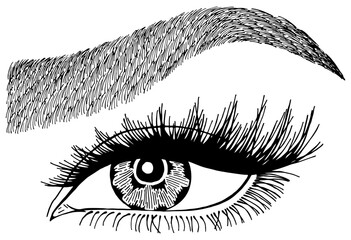 Obraz premium Illustration with woman's eye, eyelashes and eyebrow. Makeup Look. Tattoo design. Logo for brow bar or lash salon.