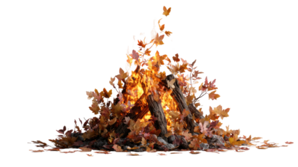 Bonfire for autumn season warm firewood flames outdoor camping heat cozy evening glow isolated on white background