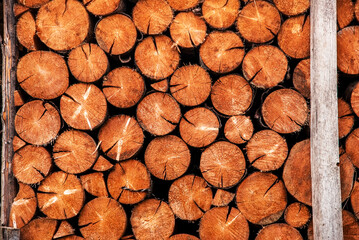Original background of round firewood laid out vertically