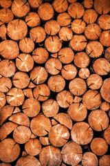 Original background of round firewood laid out vertically