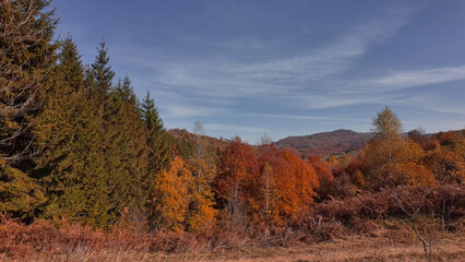 Autumn colored trees and countryside landscape scenery.