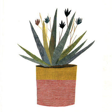 Potted Aloe - A spiky plant rising stiffly from a cylindrical planter in white background -# Create